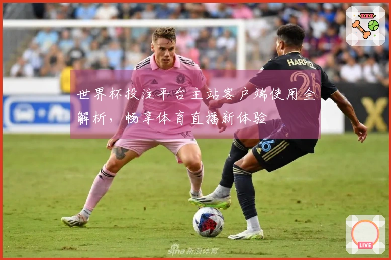 世界杯投注平台主站客户端使用全解析，畅享体育直播新体验