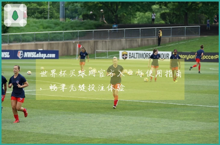 世界杯买球网官方入口与使用指南，畅享无缝投注体验