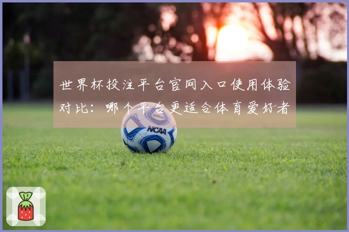 世界杯投注平台官网入口使用体验对比：哪个平台更适合体育爱好者？