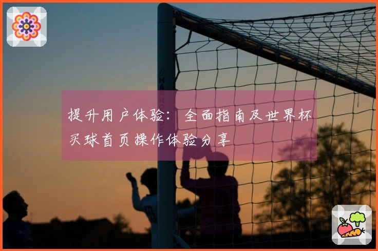 提升用户体验：全面指南及世界杯买球首页操作体验分享
