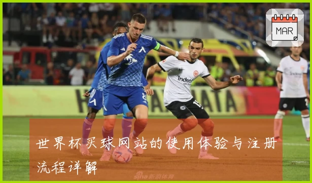 世界杯买球网站的使用体验与注册流程详解
