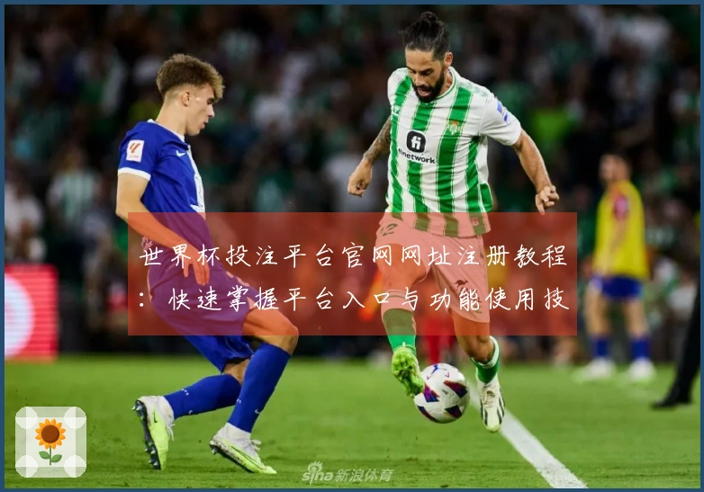 世界杯投注平台官网网址注册教程：快速掌握平台入口与功能使用技巧