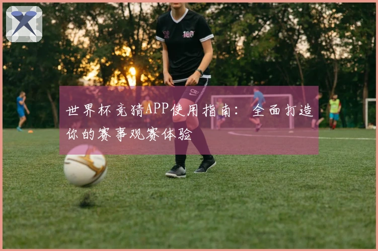 世界杯竞猜APP使用指南：全面打造你的赛事观赛体验