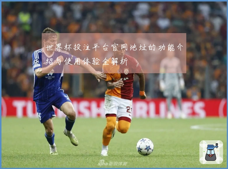 世界杯投注平台官网地址的功能介绍与使用体验全解析