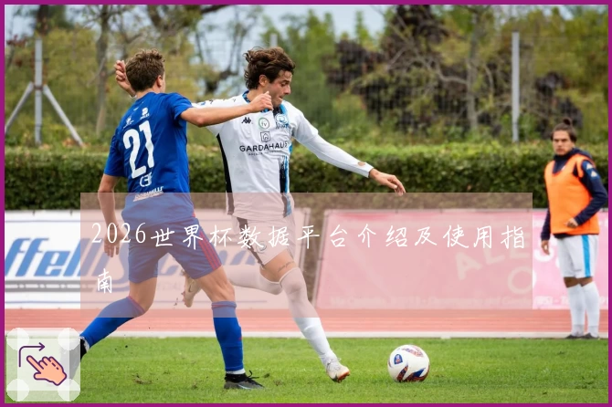 2026世界杯数据平台介绍及使用指南
