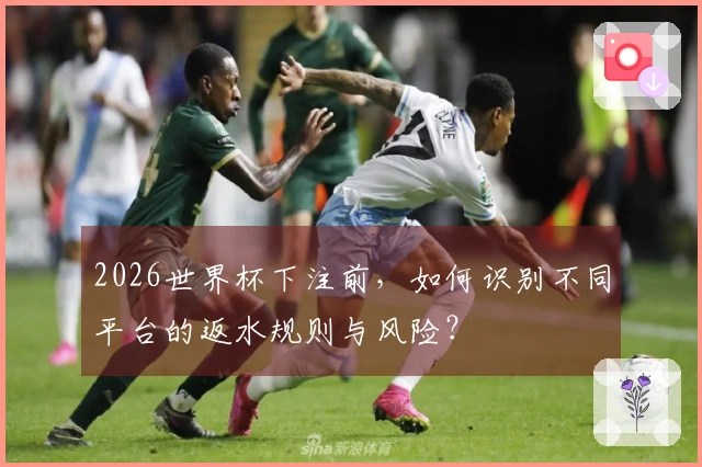 2026世界杯下注前，如何识别不同平台的返水规则与风险？