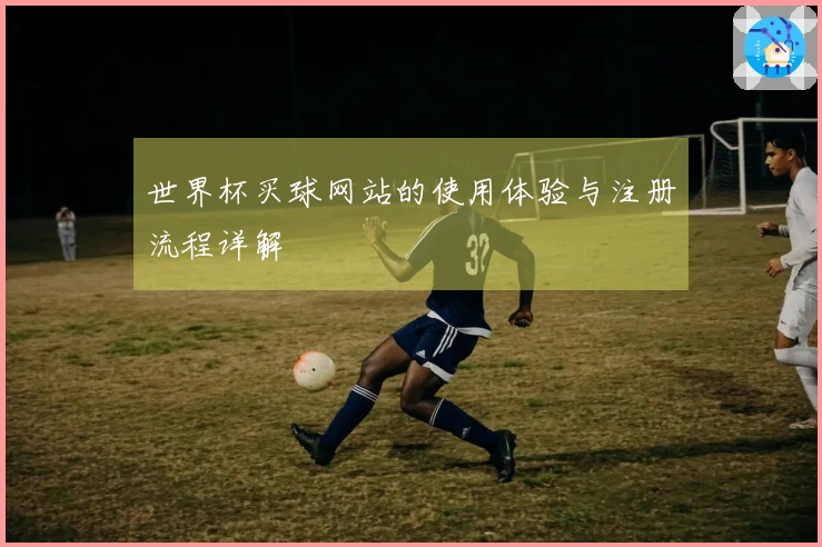 世界杯买球网站的使用体验与注册流程详解