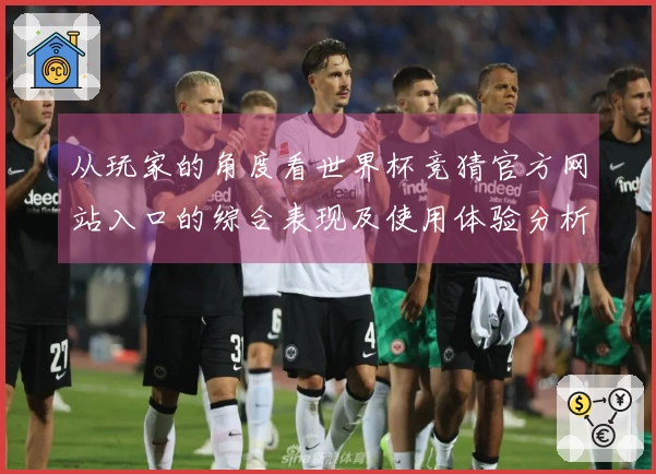 从玩家的角度看世界杯竞猜官方网站入口的综合表现及使用体验分析