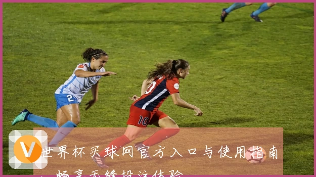 世界杯买球网官方入口与使用指南，畅享无缝投注体验