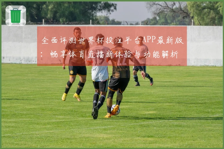全面评测世界杯投注平台APP最新版：畅享体育直播新体验与功能解析