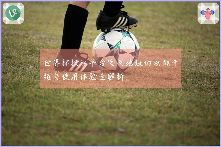 世界杯投注平台官网地址的功能介绍与使用体验全解析