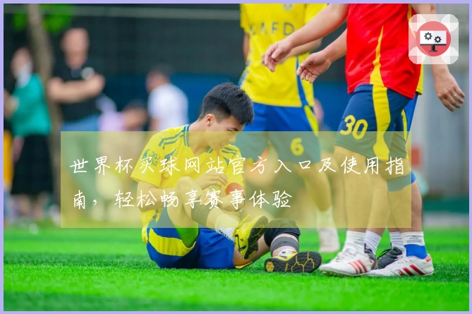 世界杯买球网站官方入口及使用指南，轻松畅享赛事体验