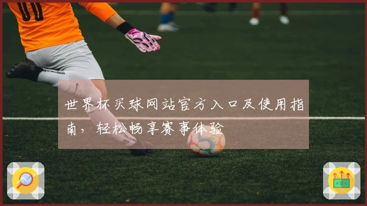 世界杯买球网站官方入口及使用指南，轻松畅享赛事体验