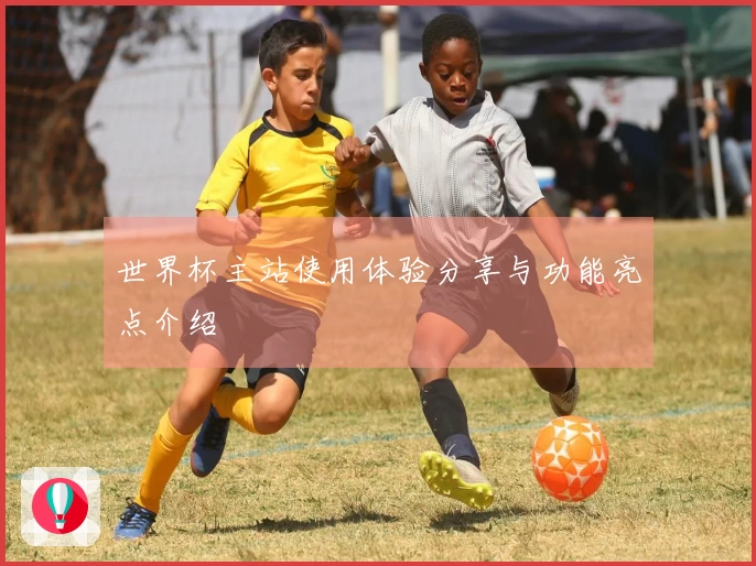 世界杯主站使用体验分享与功能亮点介绍